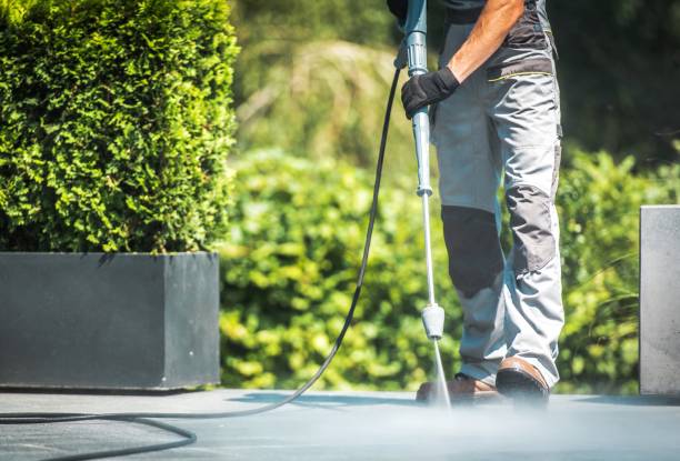 Animal Enclosure Cleaning in Smithville, OH